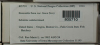 Image Associated With the Occurence